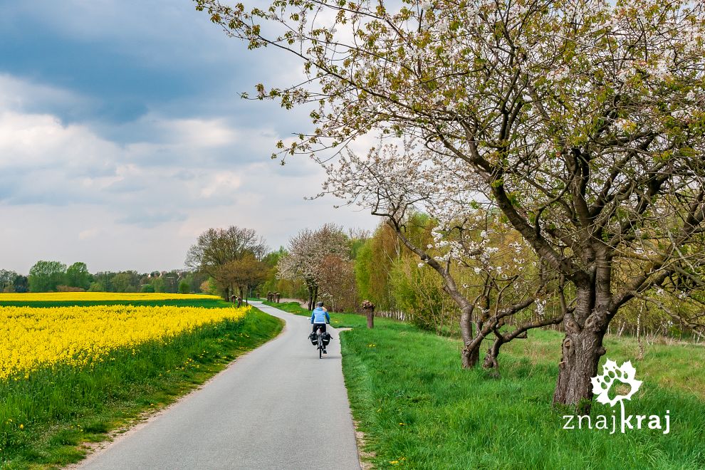Szlak Tour Brandenburg na północy Brandenburgii