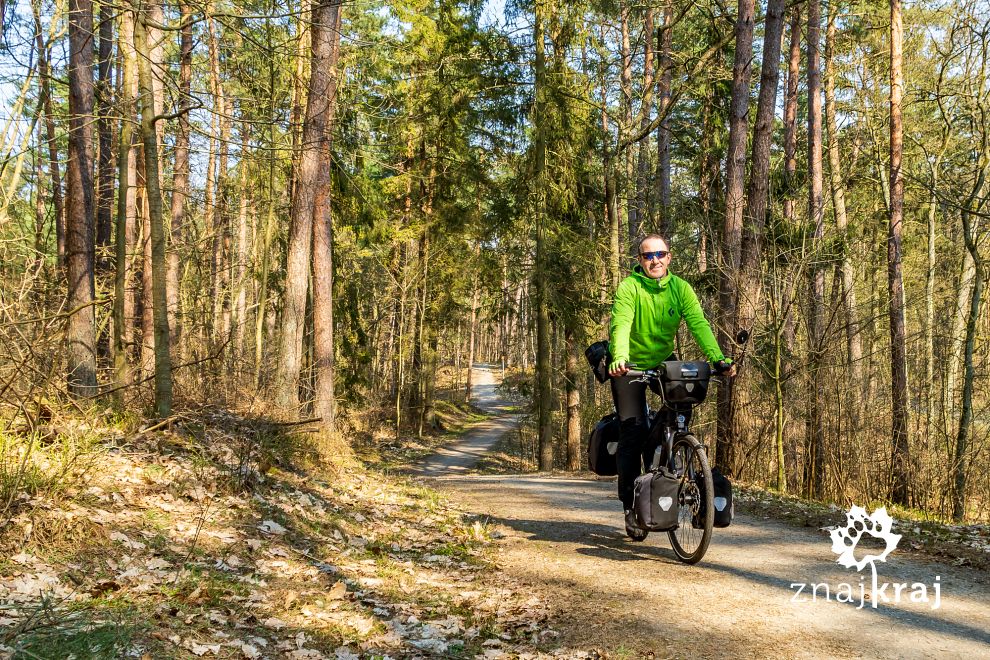 Szlak rowerowy R10 między Sztutowem a Kątami Rybackimi