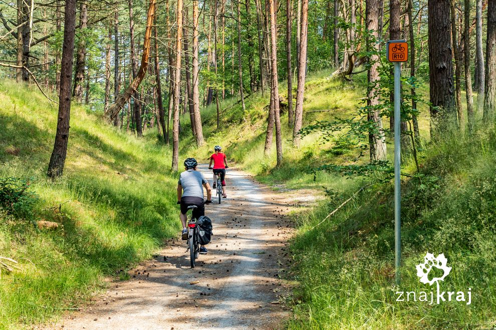 Szlak rowerowy R10 przed Krynicą Morską