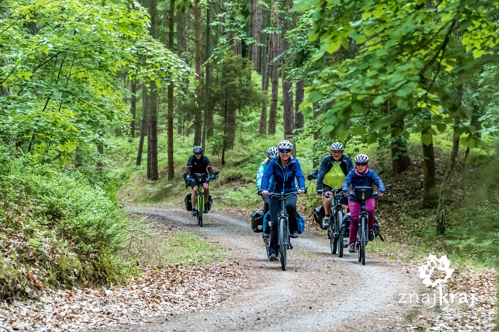 szlak-rowerowy-w-lesie-na-mierzei-wislan