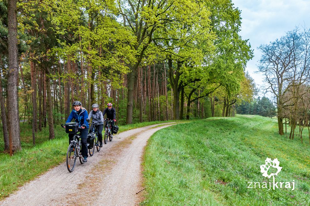 Na szlaku rowerowym w Brandenburgii