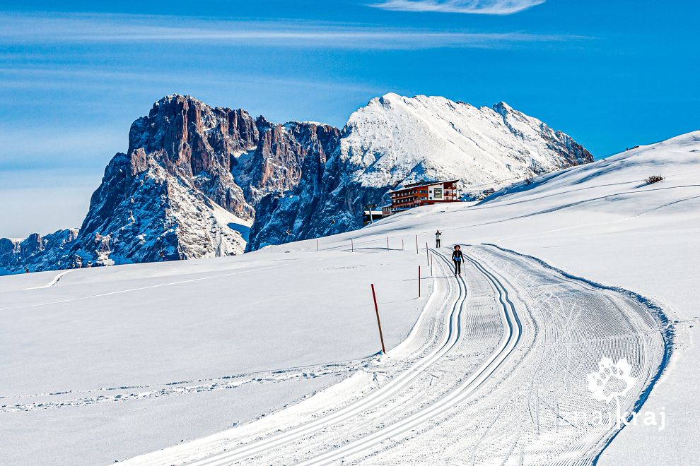 Biegówki w Dolomitach - Sasso Lungo i Sasso Piatto w tle