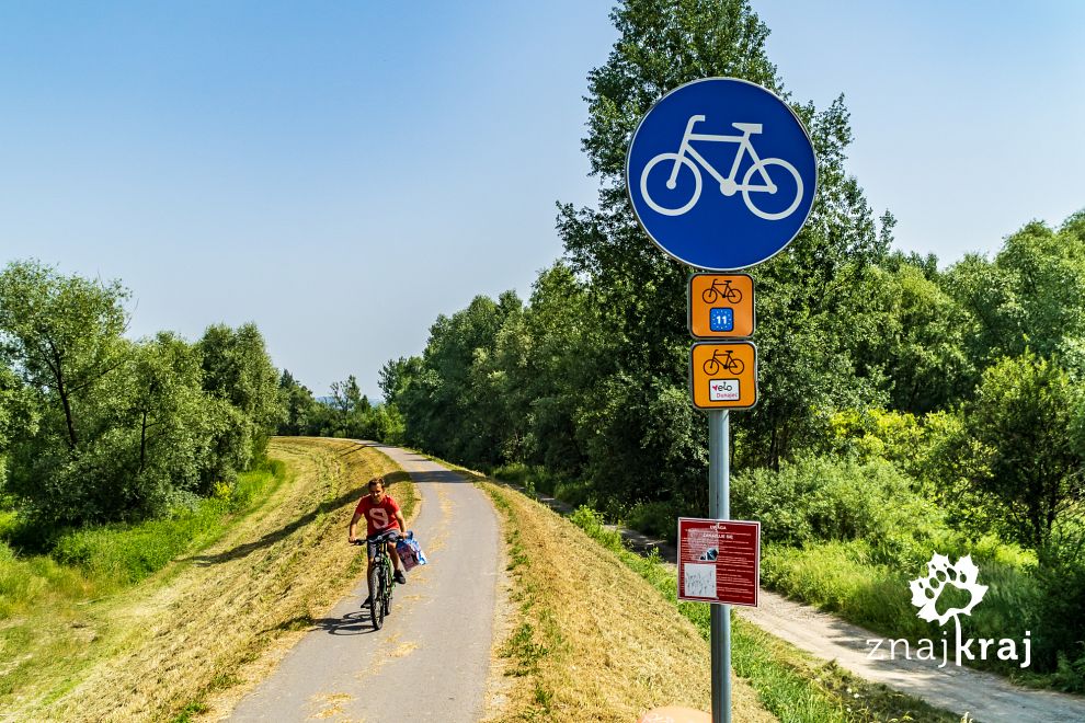 trasa-velo-dunajec-po-wale-przeciwpowodz