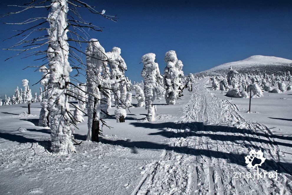 Narciarski szlak w Karkonoszach