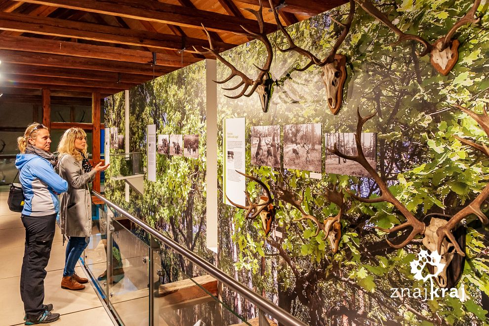 Ekspozycja w muzeum w Groß Schönebeck