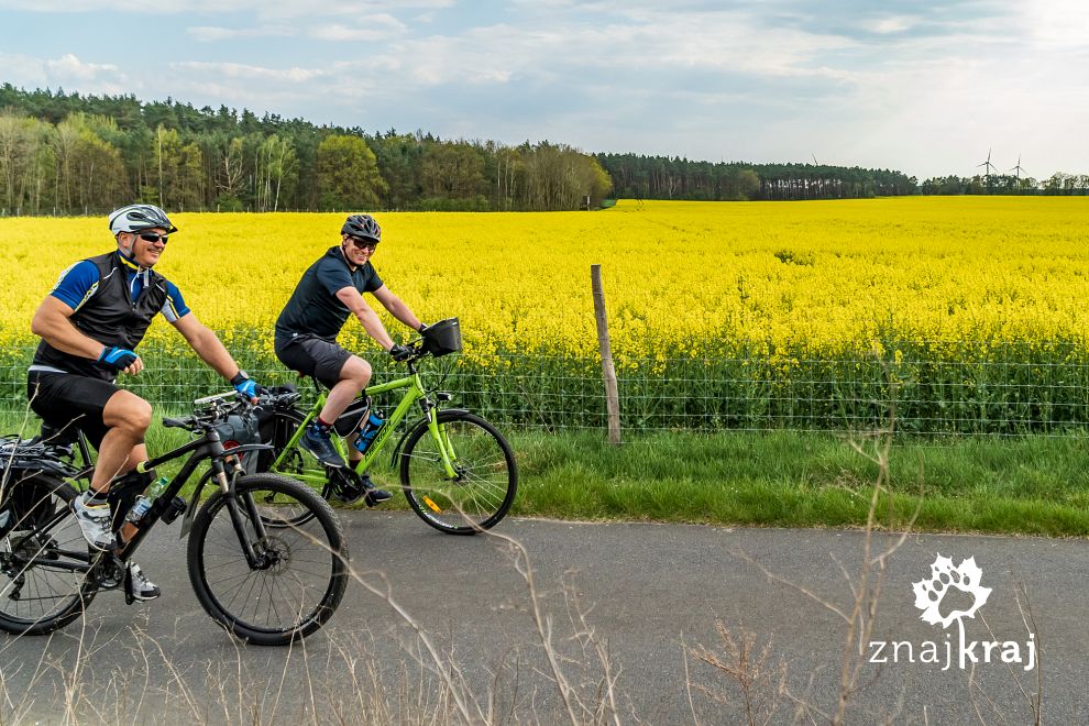 w-niemczech-tez-rosnie-rzepak-brandenbur