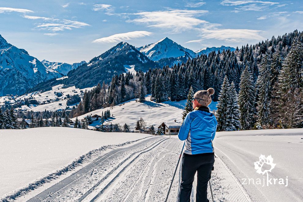 widok-na-doline-kleinwalsertal-w-austrii