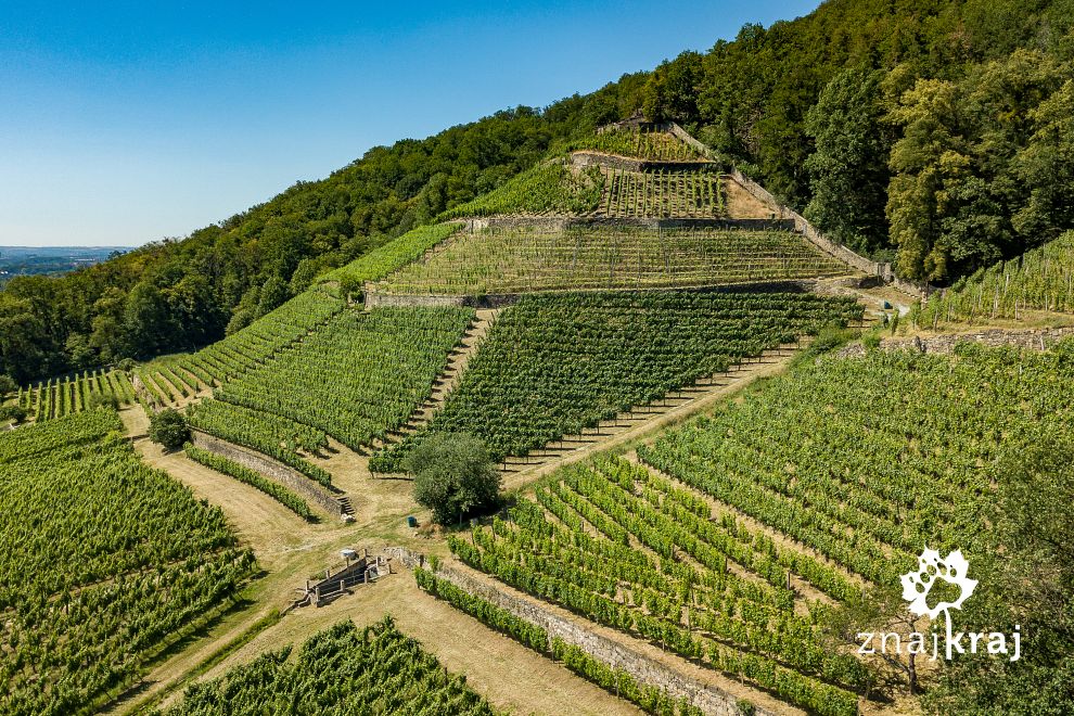 Winnica Klausa Zimmerlinga w Dreźnie z lotu ptaka