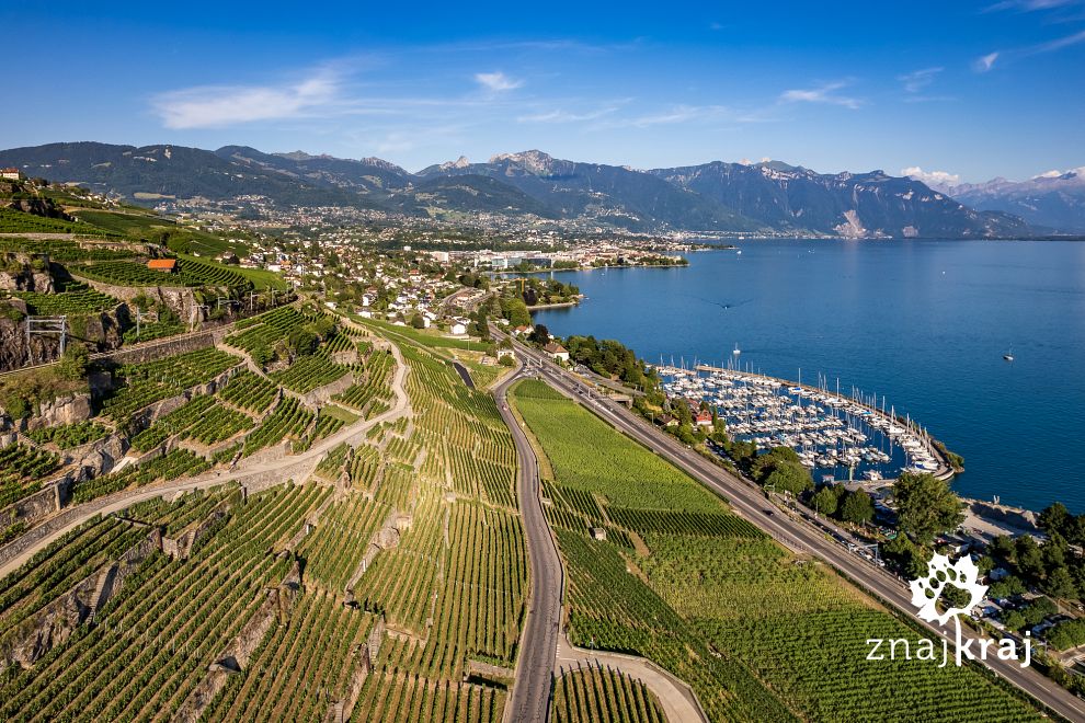 winnice-lavaux-nad-jeziorem-genewskim-sz