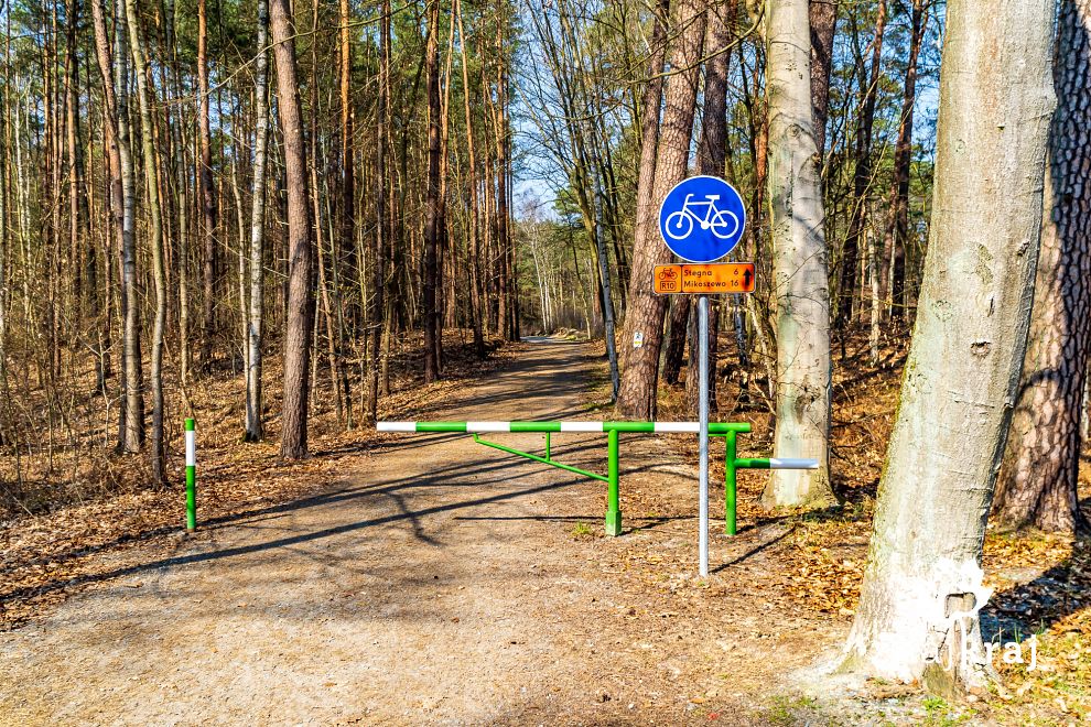 Wjazd na leśną drogę rowerową w Sztutowie