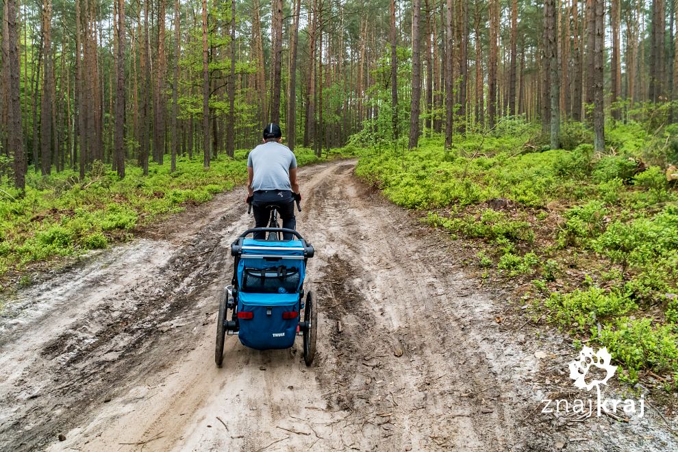 z-przyczepka-rowerowa-po-piaszczystym-od