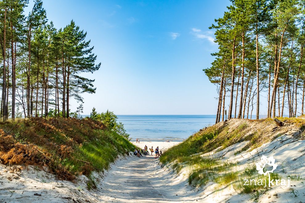 Zejście na plażę w Krynicy Morskiej