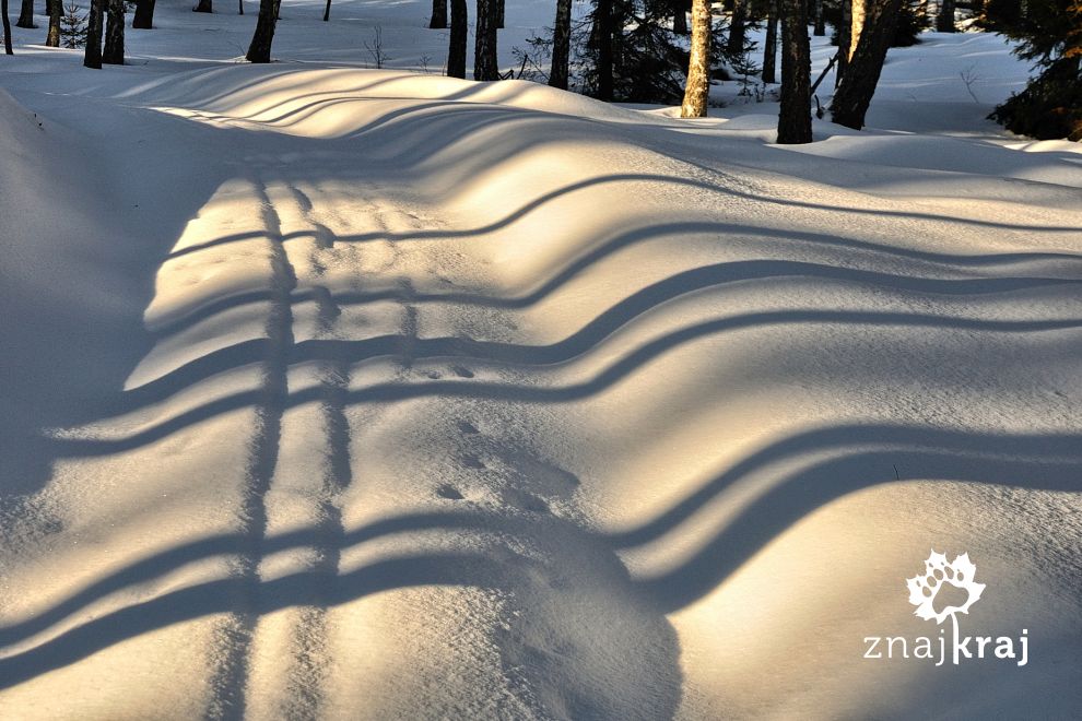 Zimowe wzory na śniegu