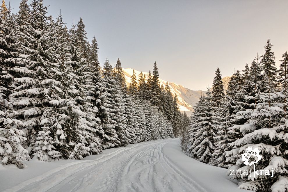 zjazd-dolina-rohacka-tatry-2017-szymon-n