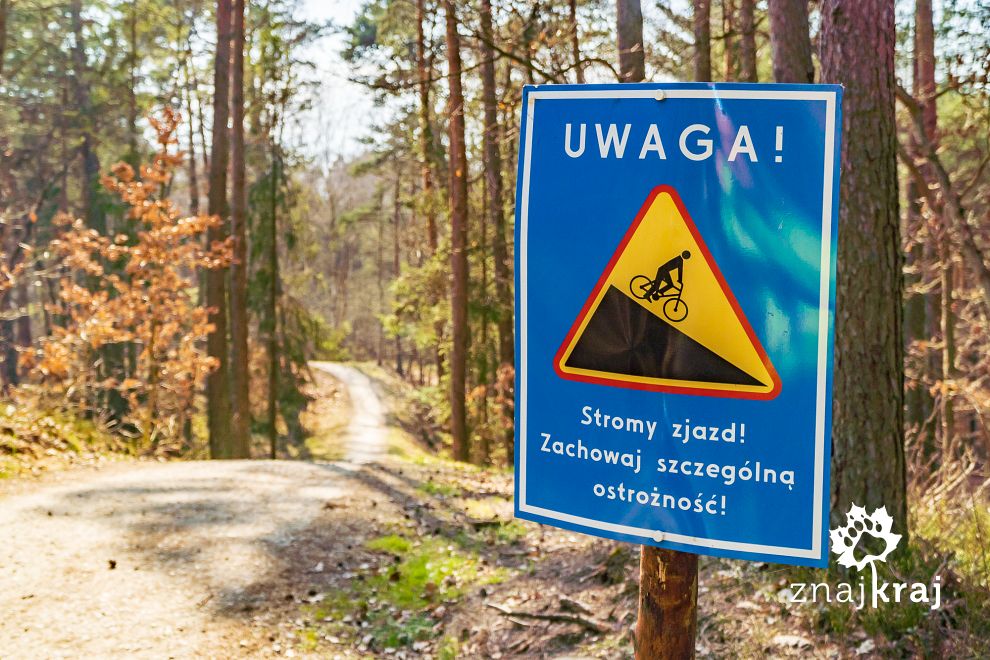 Zróżnicowana trasa rowerowa po Mierzei Wiślanej