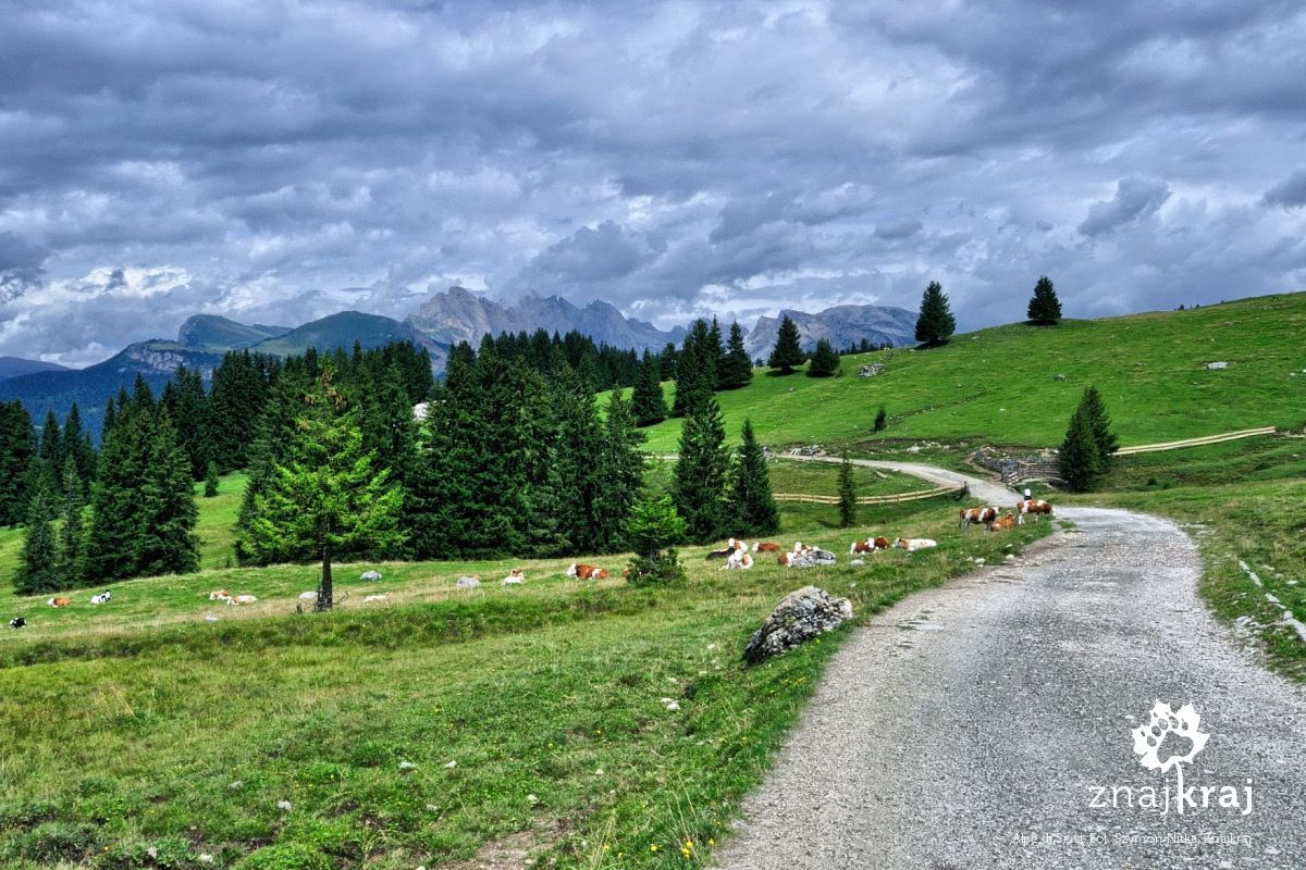 Alpe di Siusi Alpe di Siusi