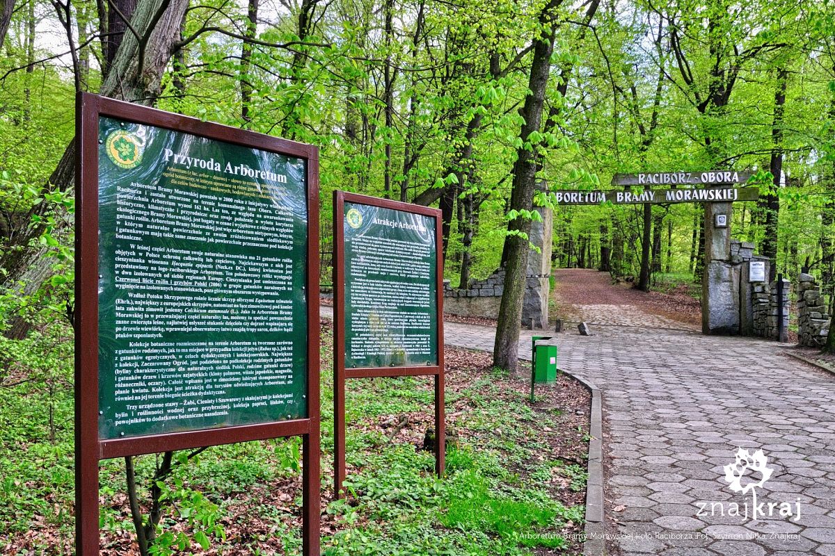 Arboretum Bramy Morawskiej koło Raciborza Arboretum Bramy Morawskiej koło Raciborza