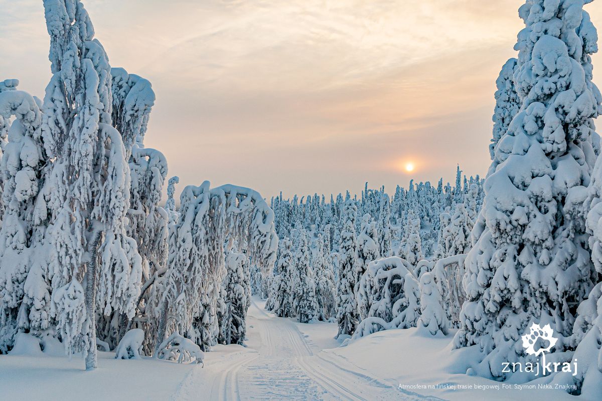 Atmosfera na fińskiej trasie biegowej Atmosfera na fińskiej trasie biegowej