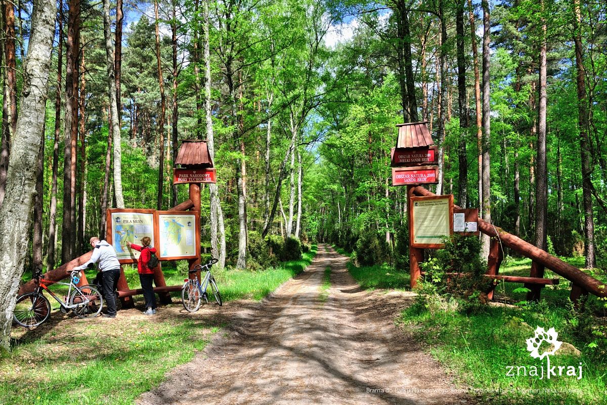 Brama do Parku Narodowego Borów Tucholskich Brama do Parku Narodowego Borów Tucholskich