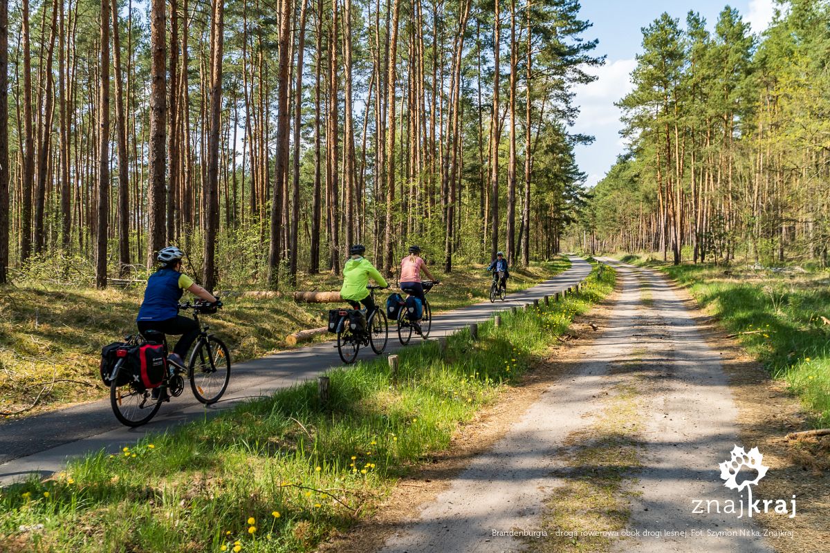 Brandenburgia - droga rowerowa obok drogi leśnej