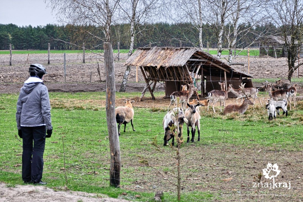 Daniele w małym zoo Daniele w małym zoo