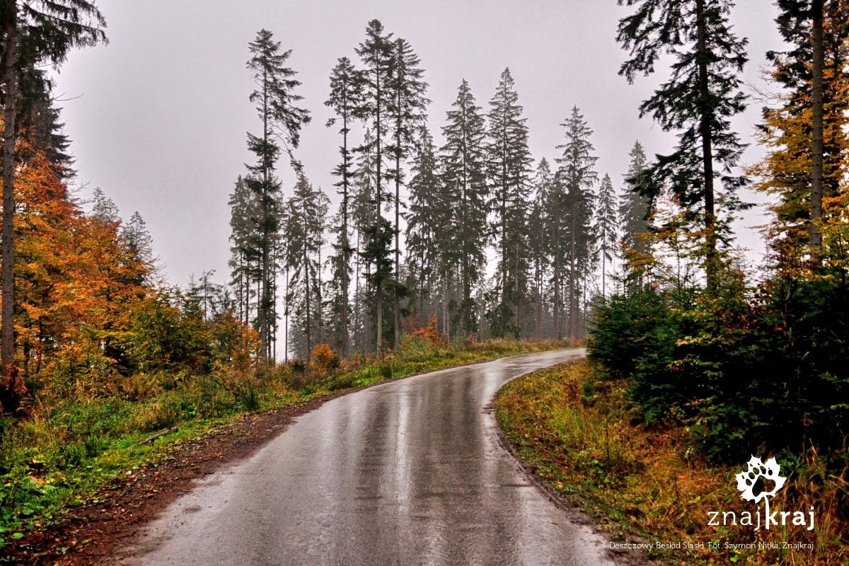 Deszczowy Beskid Śląski Deszczowy Beskid Śląski