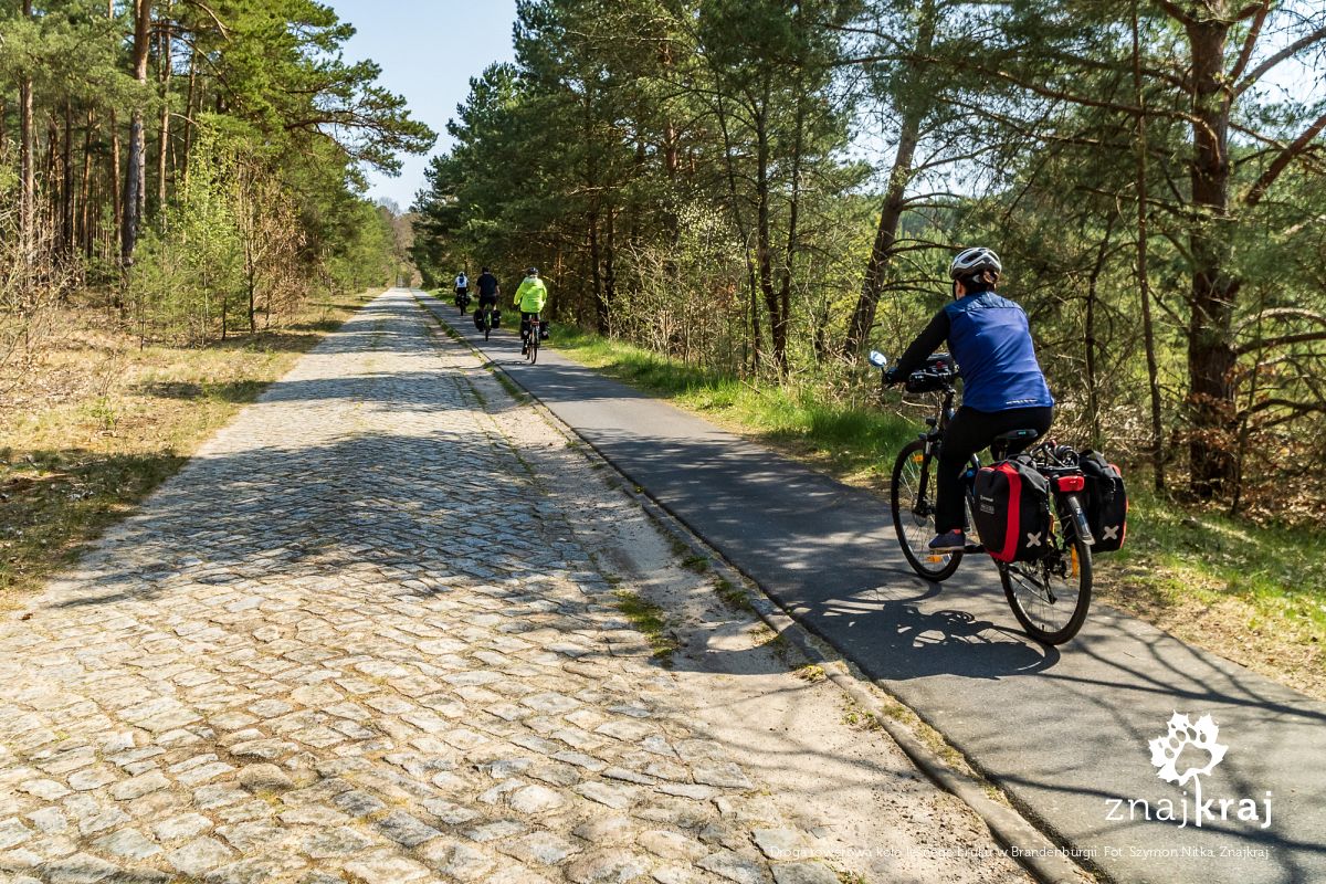 Droga rowerowa koło leśnego bruku w Brandenburgii
