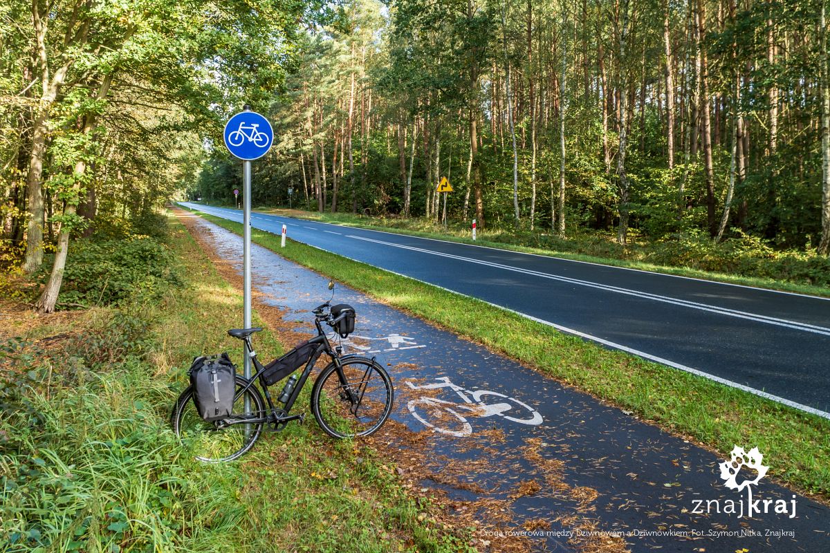 Droga rowerowa między Dziwnowem a Dziwnówkiem