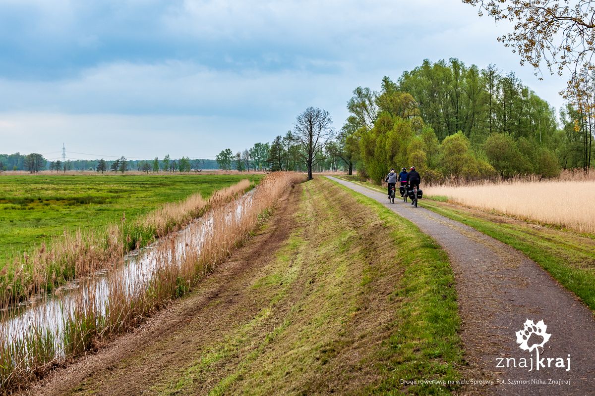 Droga rowerowa na wale Spreewy