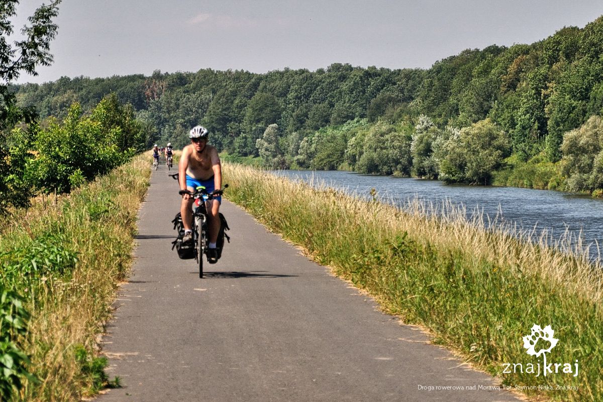 Droga rowerowa nad Morawą Droga rowerowa nad Morawą