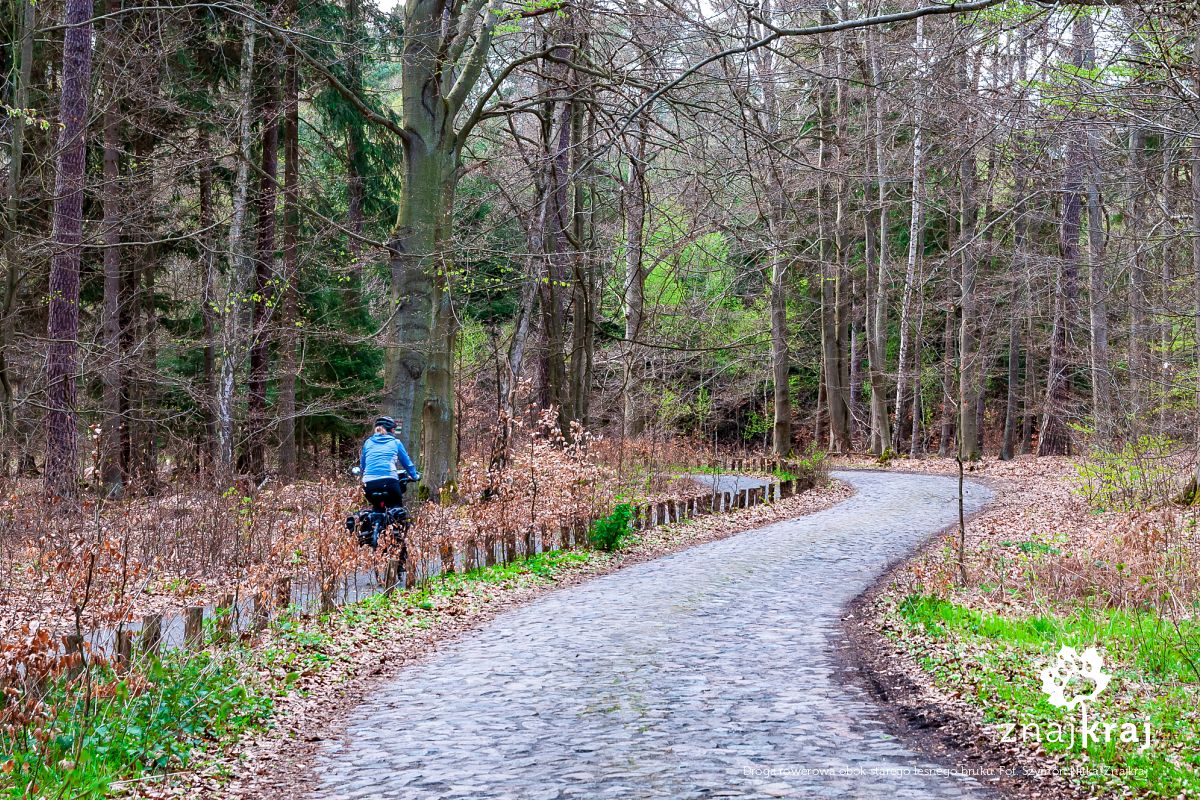 Droga rowerowa obok starego leśnego bruku Droga rowerowa obok starego leśnego bruku