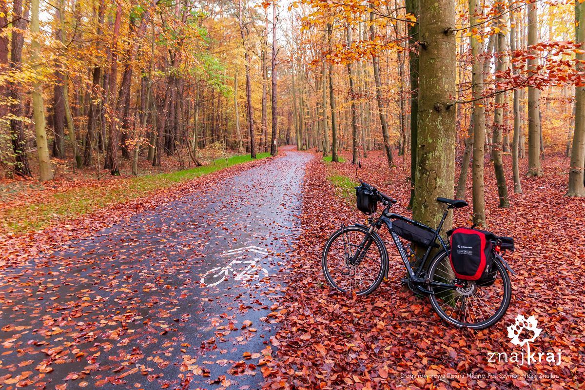 Droga rowerowa Pleśna-Mielno