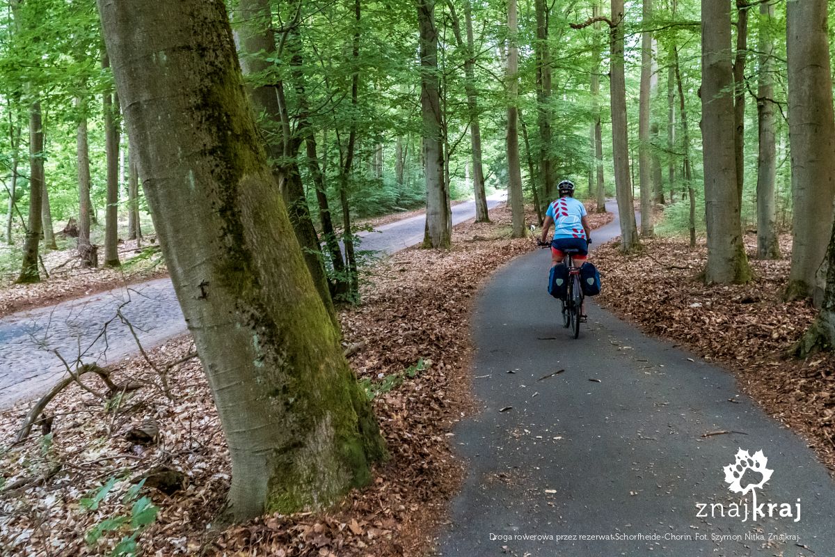 Droga rowerowa przez rezerwat Schorfheide-Chorin