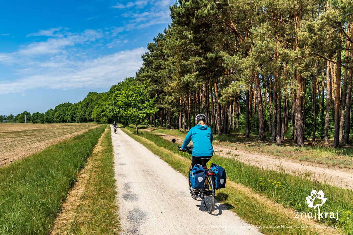 Droga rowerowa Ryszarda Szurkowskiego w stronę Milicza