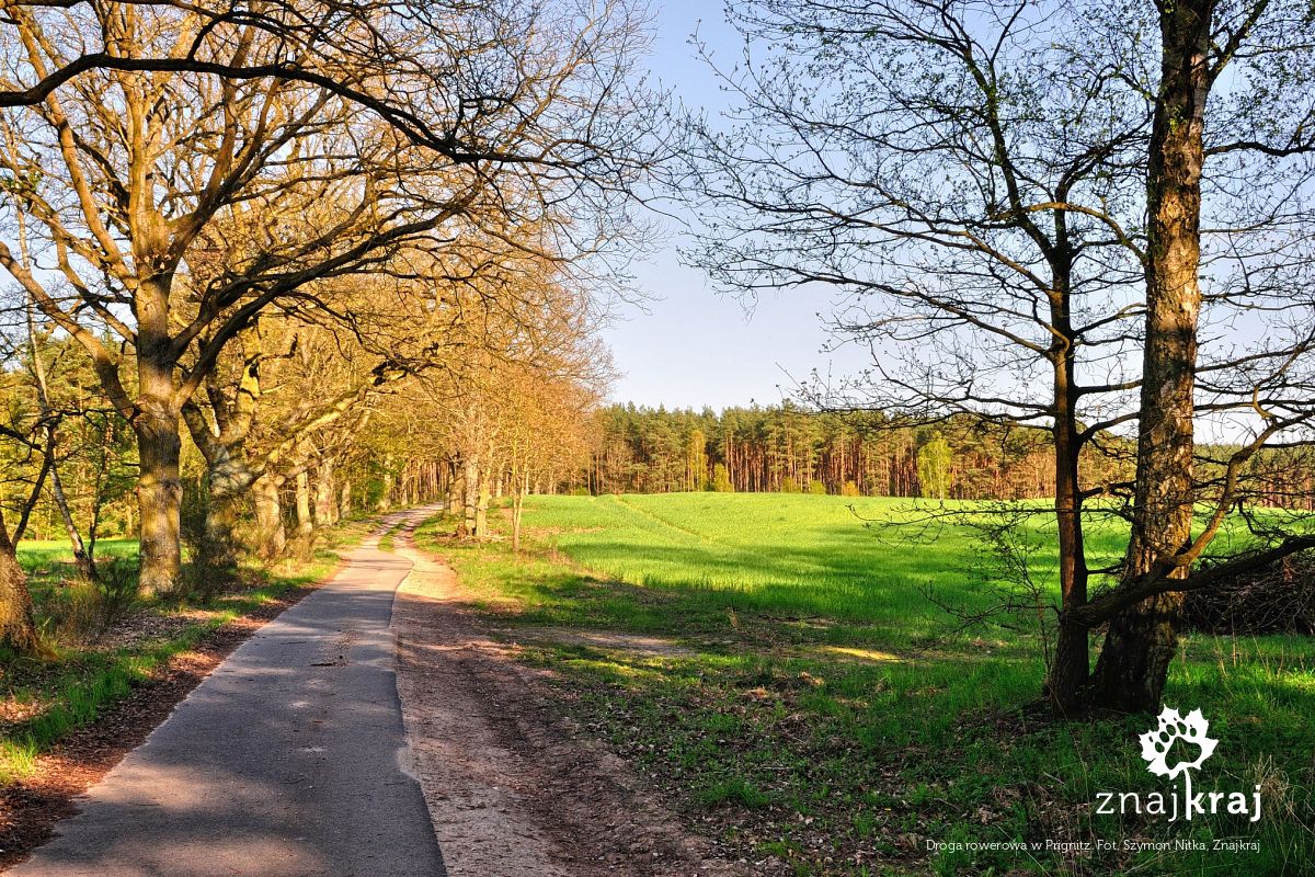 Droga rowerowa w Prignitz Droga rowerowa w Prignitz