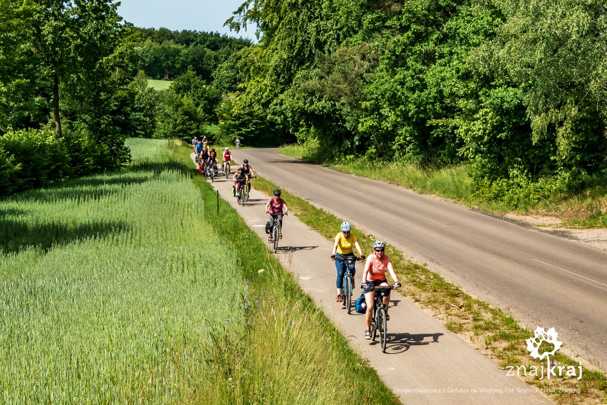 Droga rowerowa z Gołubia na Wieżycę