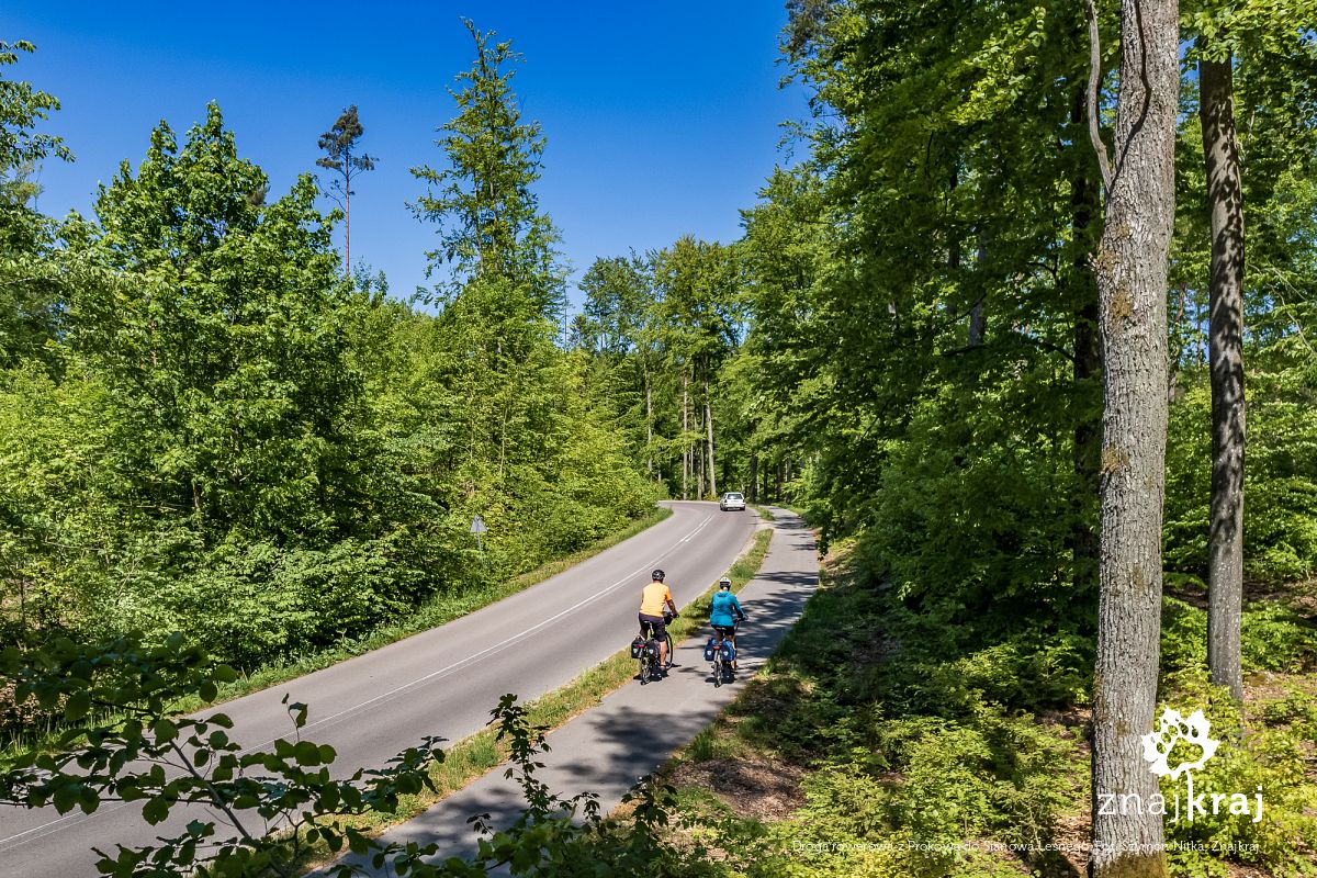 Droga rowerowa z Prokowa do Sianowa Leśnego