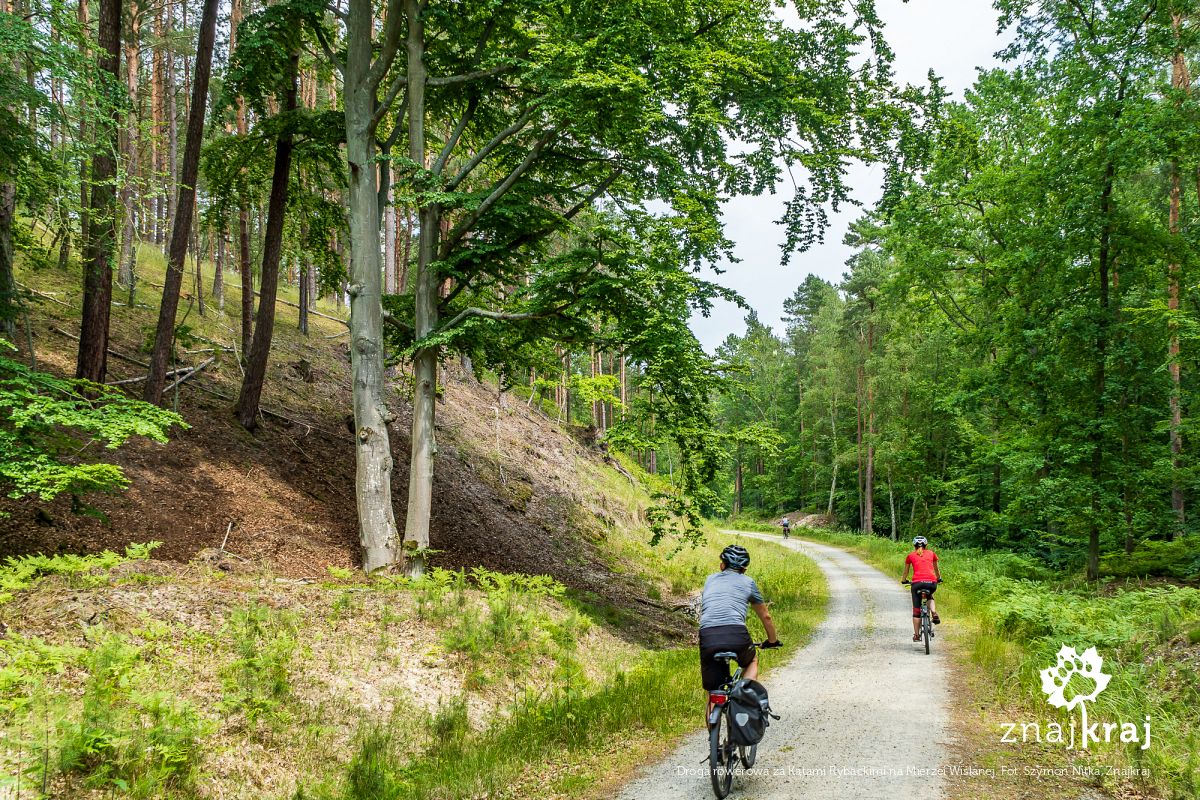 Droga rowerowa za Kątami Rybackimi na Mierzei Wiślanej