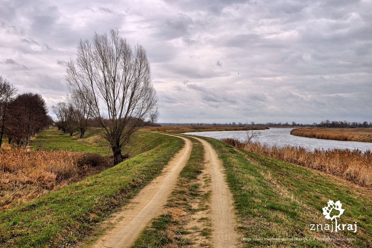 Droga szlaku rowerowego nad Notecią