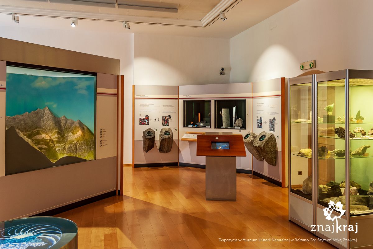Ekspozycja w Muzeum Historii Naturalnej w Bolzano
