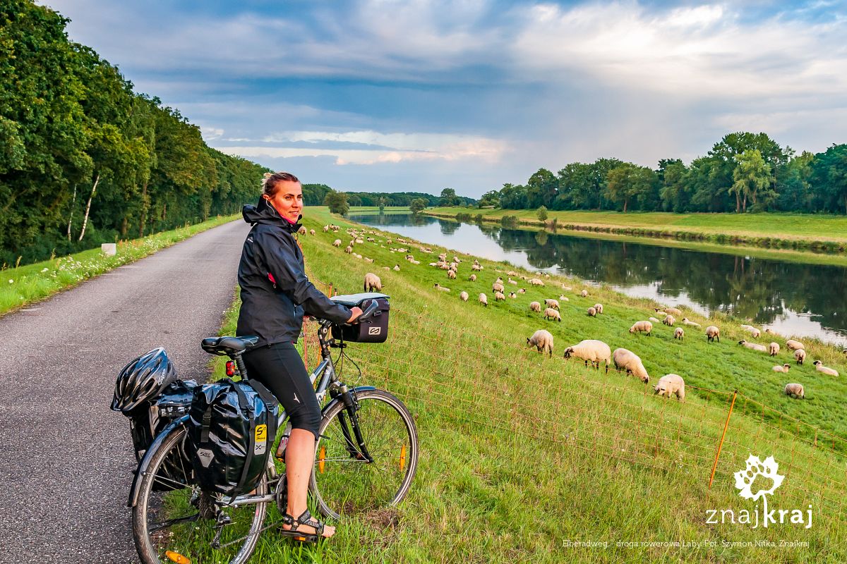 Elberadweg - droga rowerowa Łaby