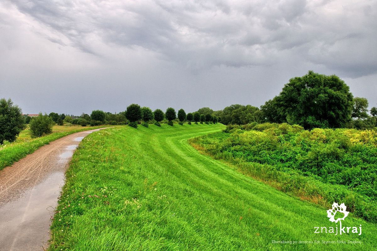 Elberadweg po deszczu