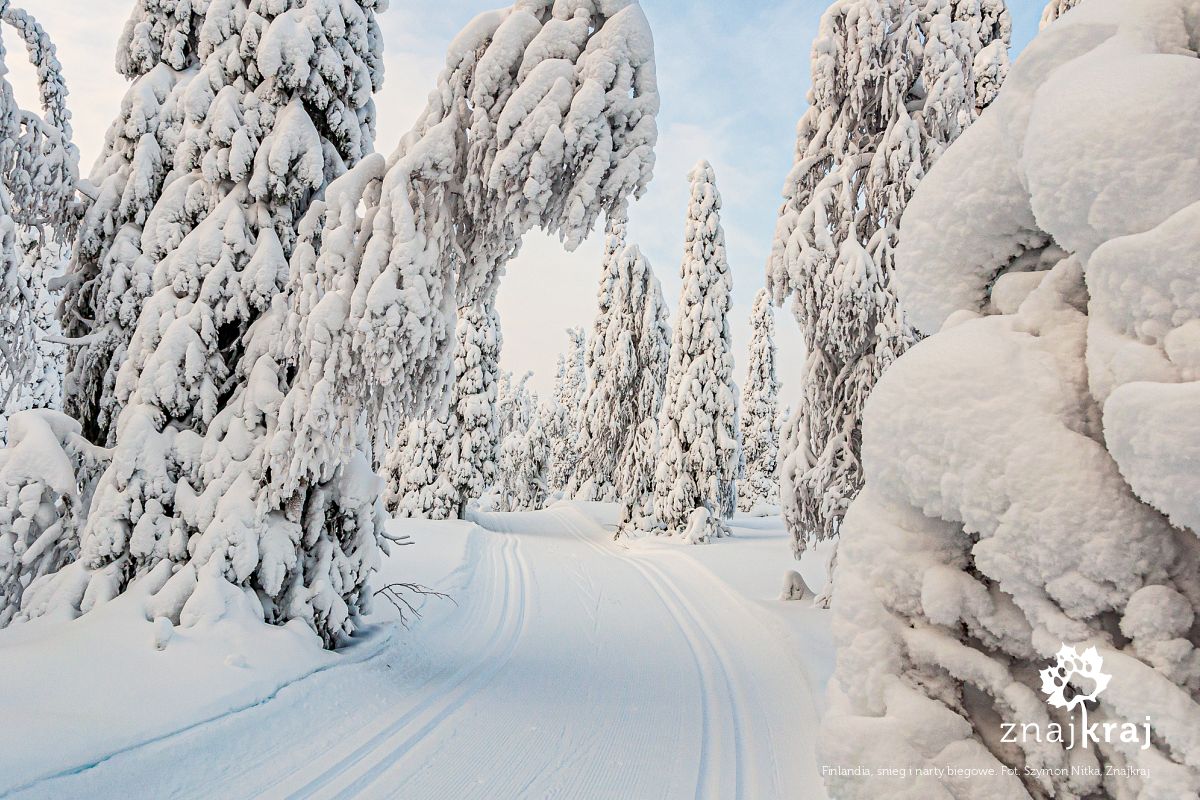 Finlandia, śnieg i narty biegowe Finlandia, śnieg i narty biegowe