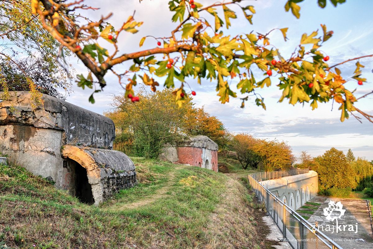 Fort XI Duńkowiczki