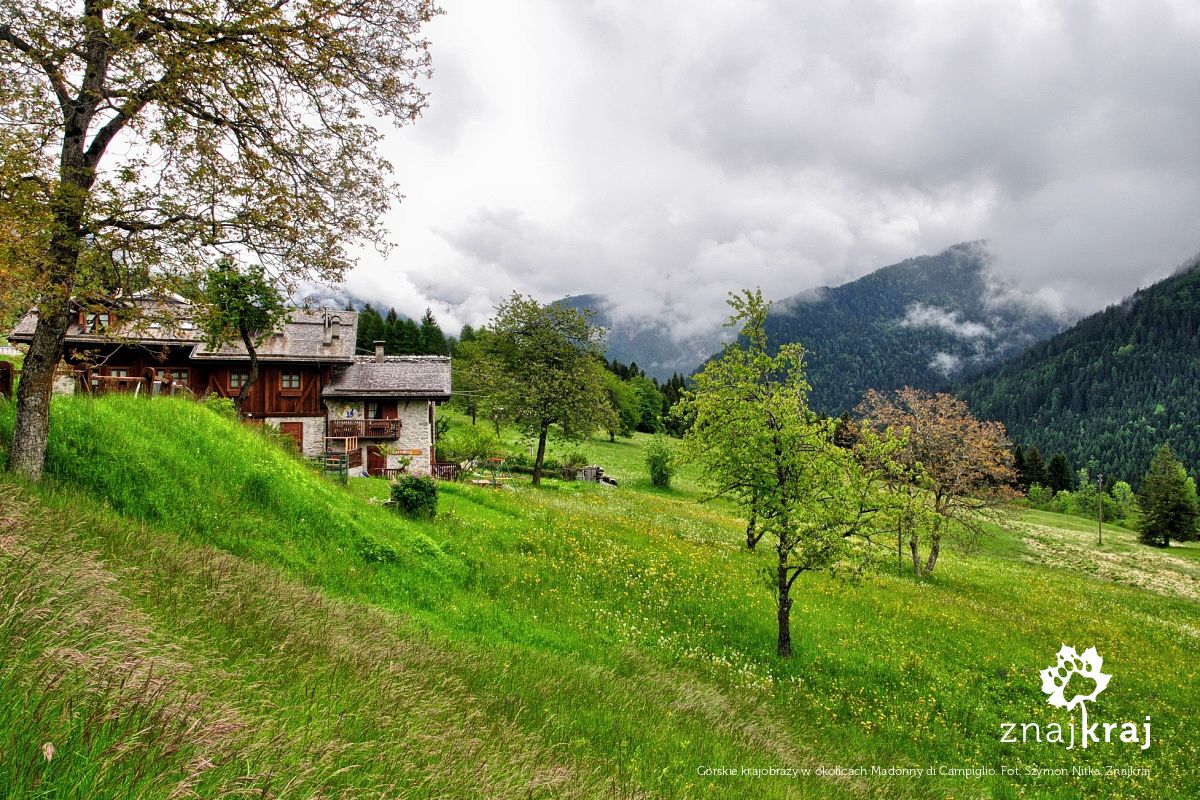 Górskie krajobrazy w okolicach Madonny di Campiglio Górskie krajobrazy w okolicach Madonny di Campiglio