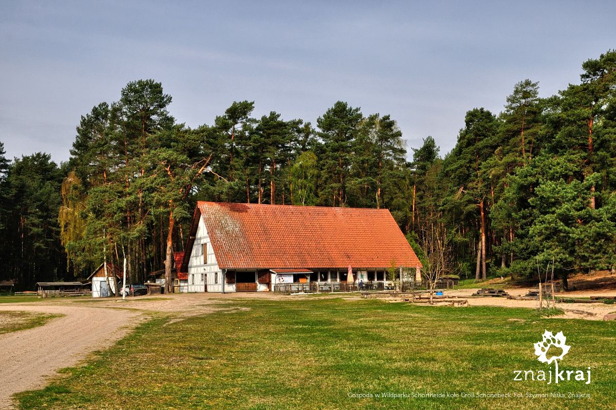 Gospoda w Wildparku Schorfheide koło Groß Schönebeck Gospoda w Wildparku Schorfheide koło Groß Schönebeck