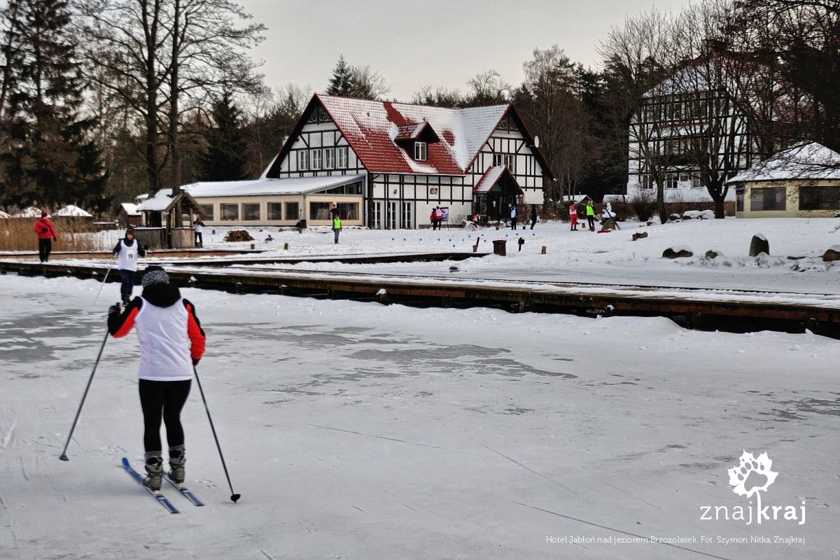 Hotel Jabłoń nad jeziorem Brzozolasek Hotel Jabłoń nad jeziorem Brzozolasek
