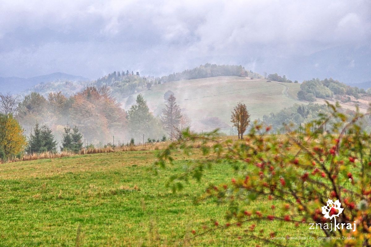 Jesienny Beskid Śląski