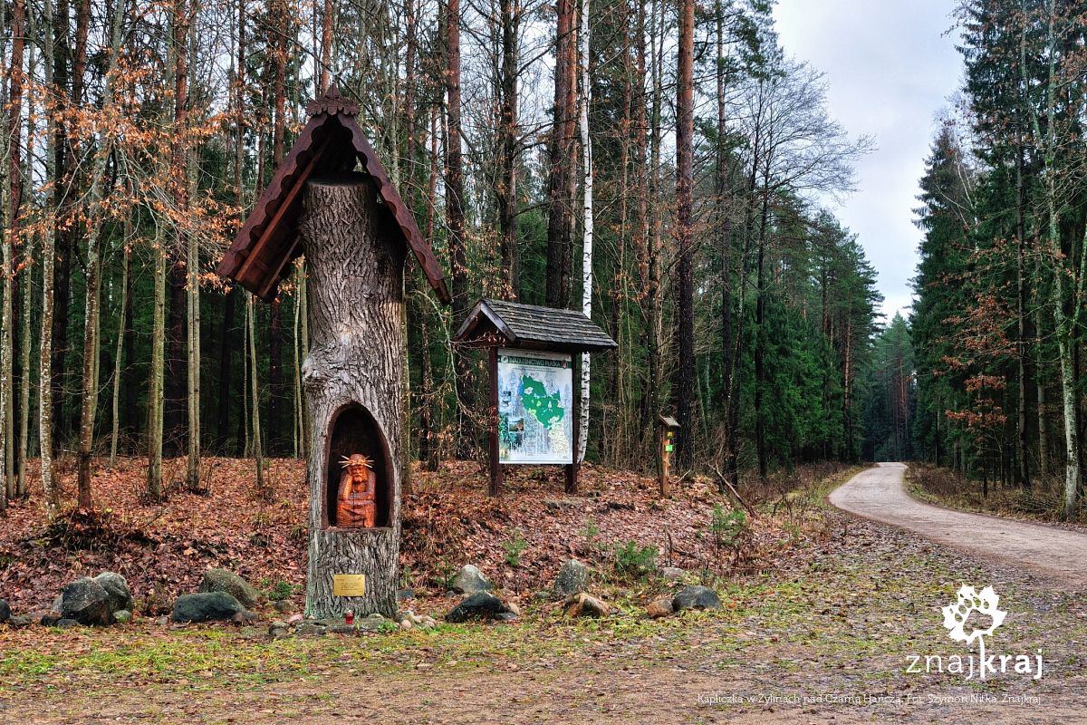 Kapliczka w Żylinach nad Czarną Hańczą Kapliczka w Żylinach nad Czarną Hańczą