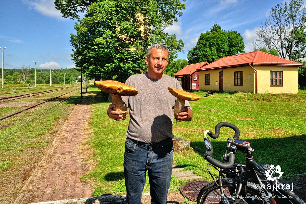 Karpackie prawdziwki z Łupkowa